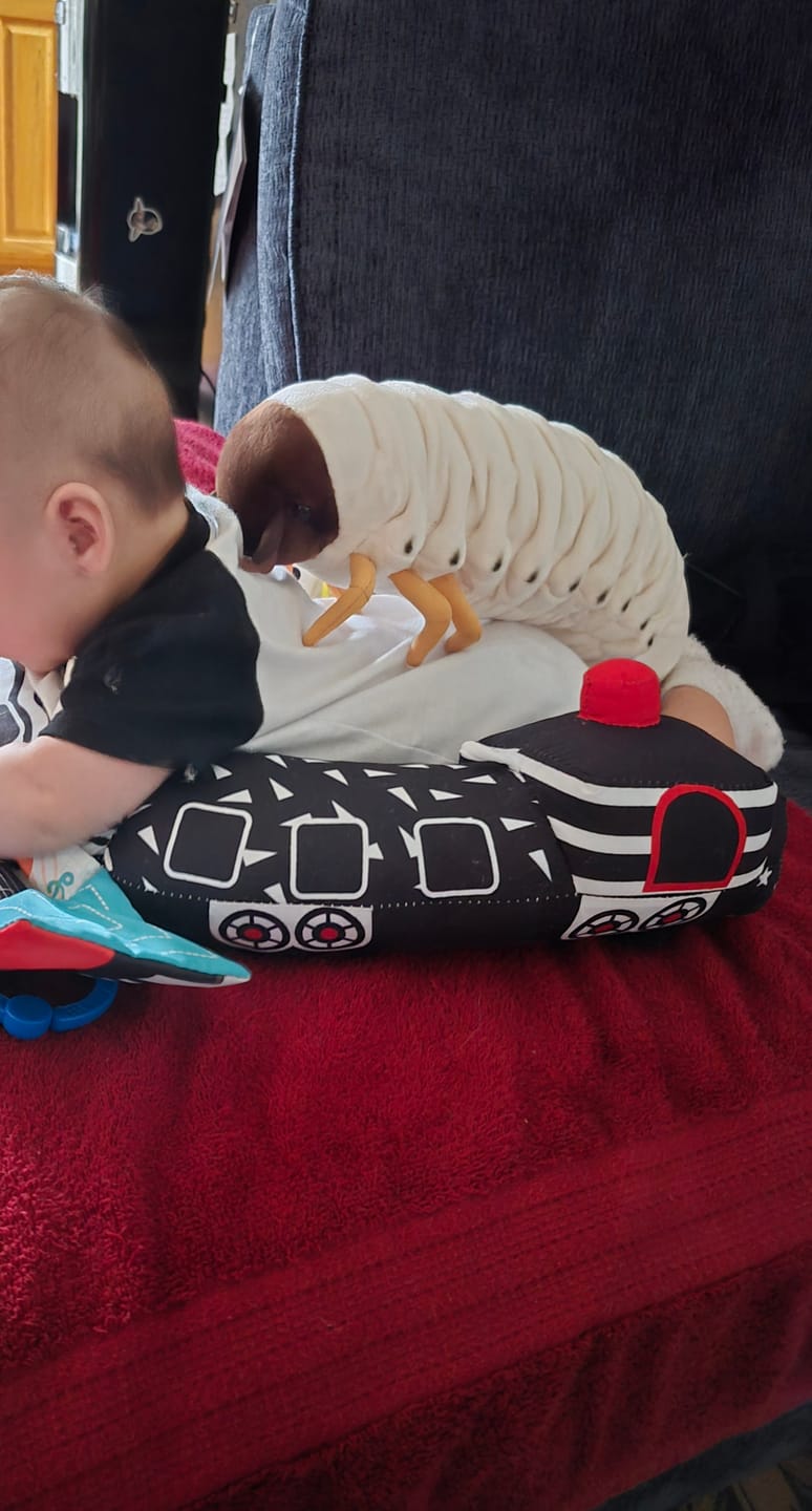 Customer photo review of White Grub Soft Stuffed Plush Toy