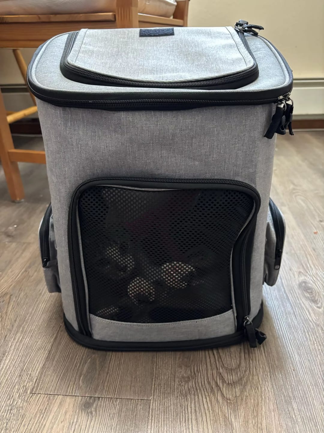 Customer photo review of Katzenrucksack – PurrPack