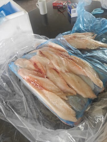 Customer photo review of 5KG Snapper Fillets (Skinned and Boned) Frozen
