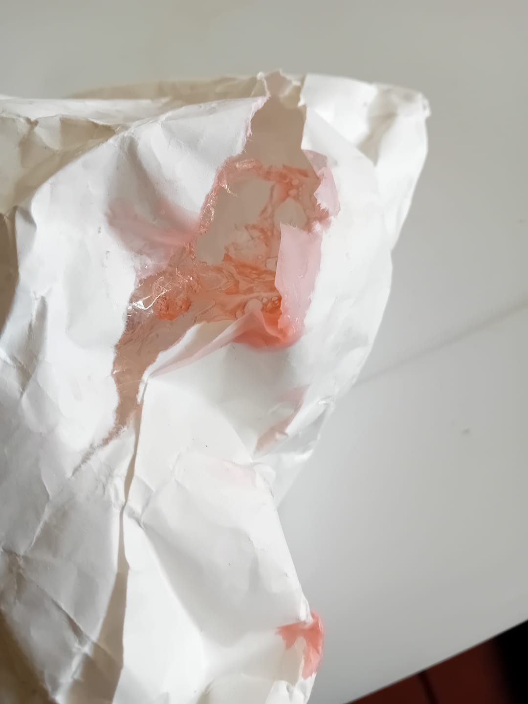 Customer photo review of Flea and Tick Dog Shampoo with Neem Oil