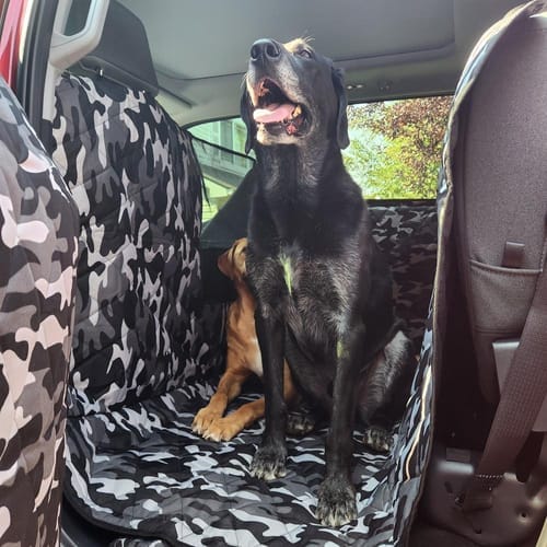 Customer photo review of Floor Hammock for Crew Cab Trucks - Driver Side
