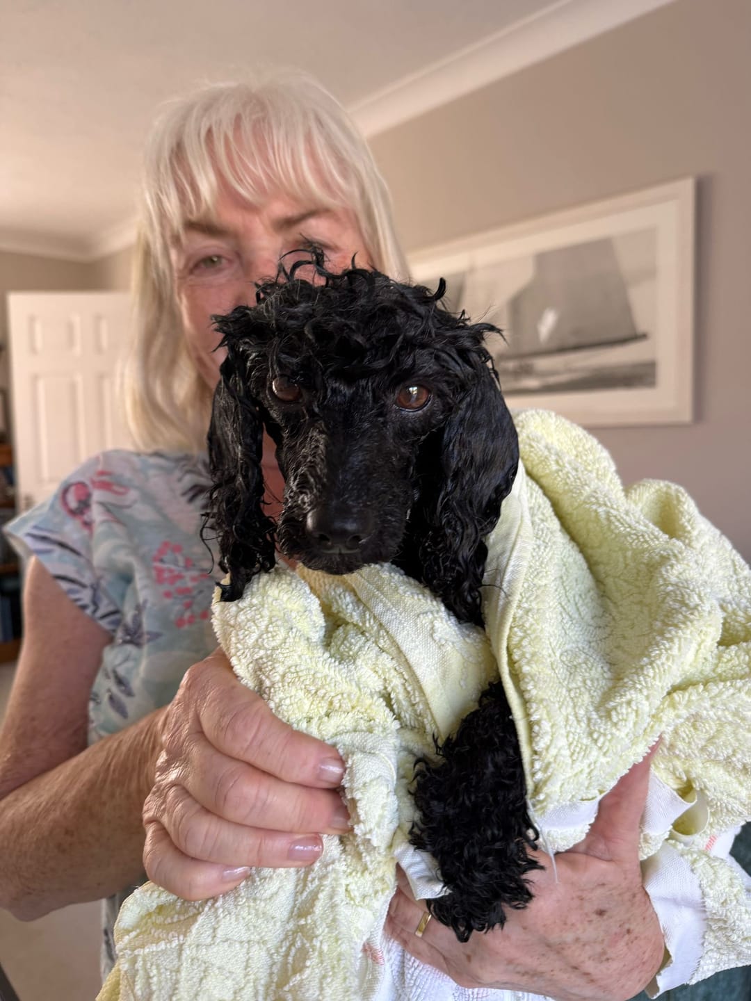 Customer photo review of Dog Shampoo