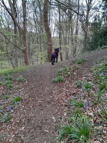 Customer photo review of Anti Pull Hurricane Harness - With Handle - Carminerose