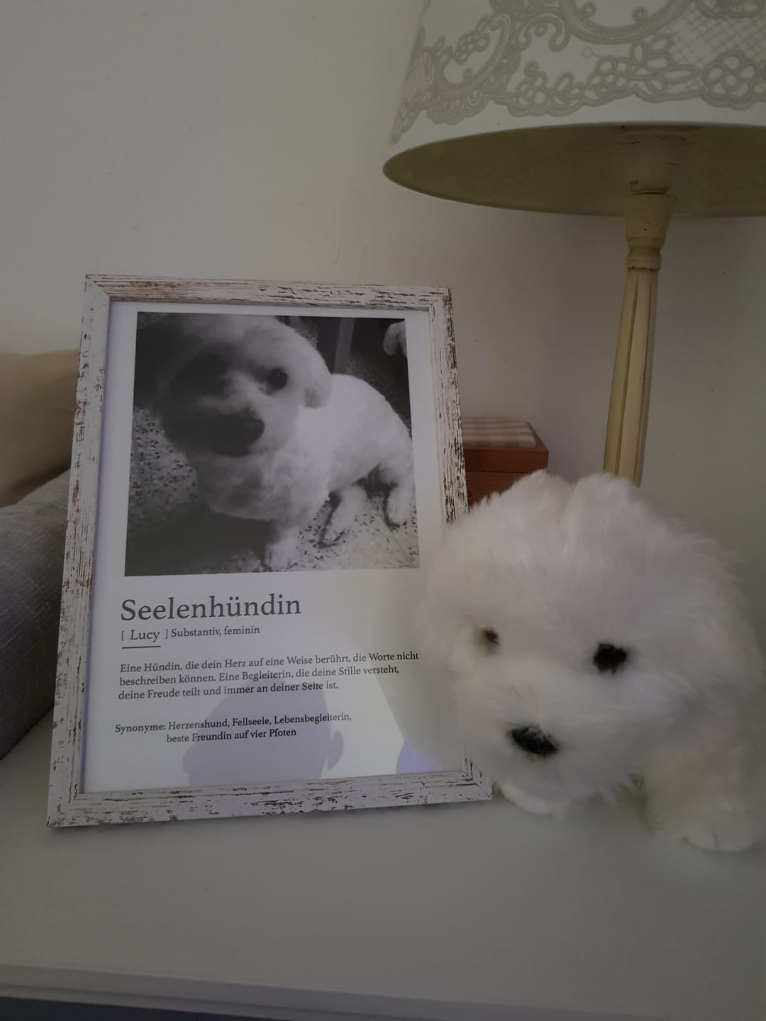 Customer photo review of Definition Seelentier - Individuelles Poster