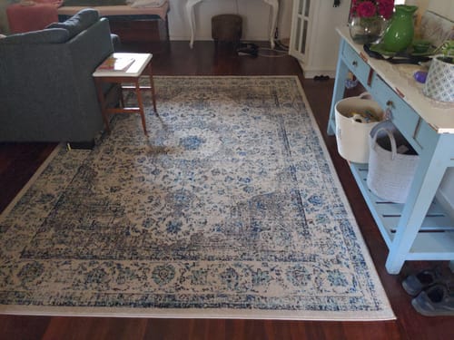 Customer photo review of Rita Transitional Runner