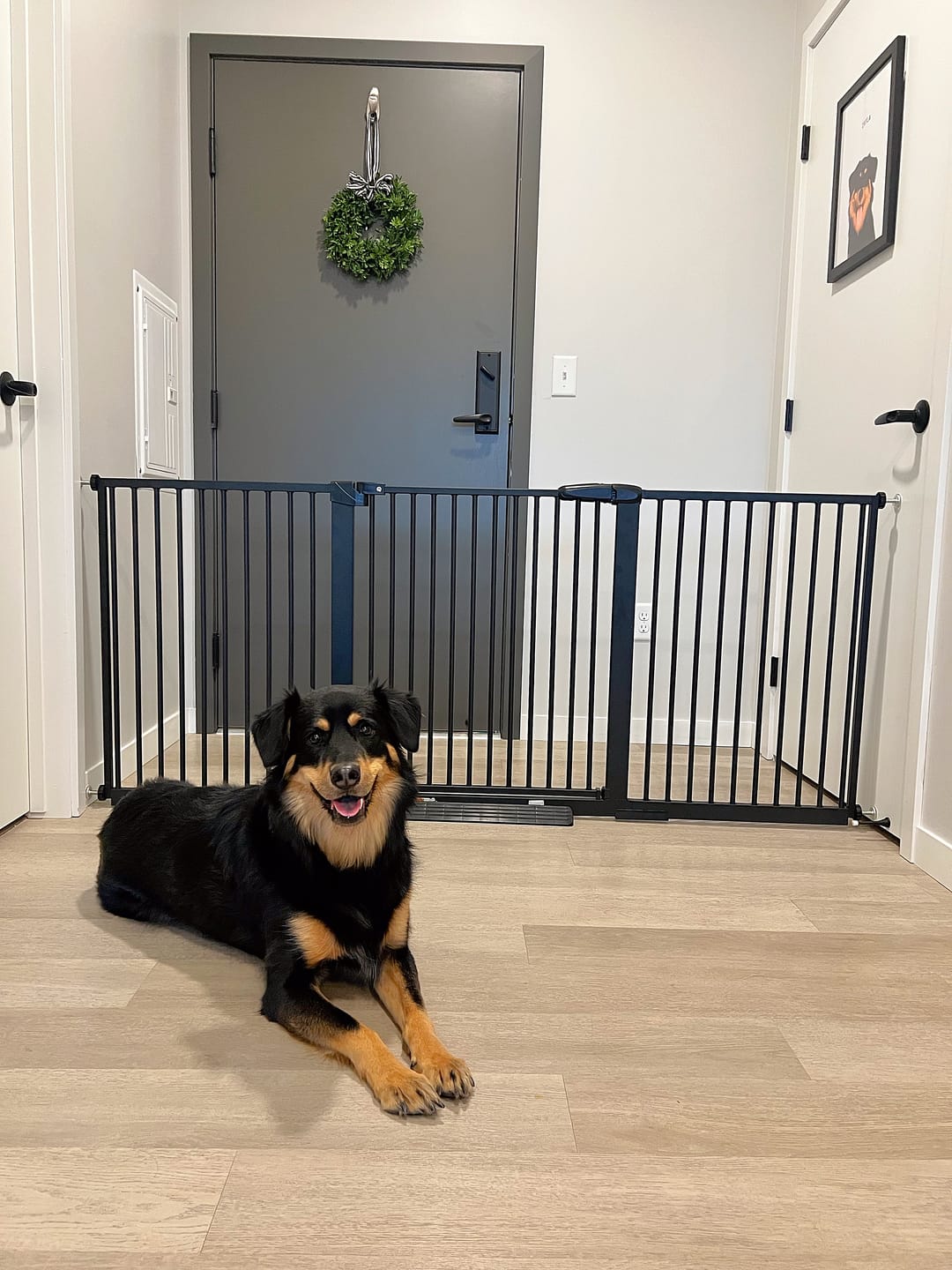 Customer photo review of FairyBaby 30" Tall Safety Gate with Narrow Bar Spacing