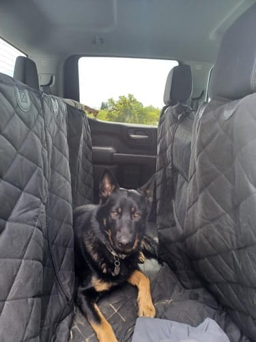 Customer photo review of Floor Hammock for Crew Cab Trucks - Driver Side