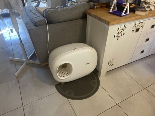 Customer photo review of Makesure Cat Litter Box Cat Litter Tray