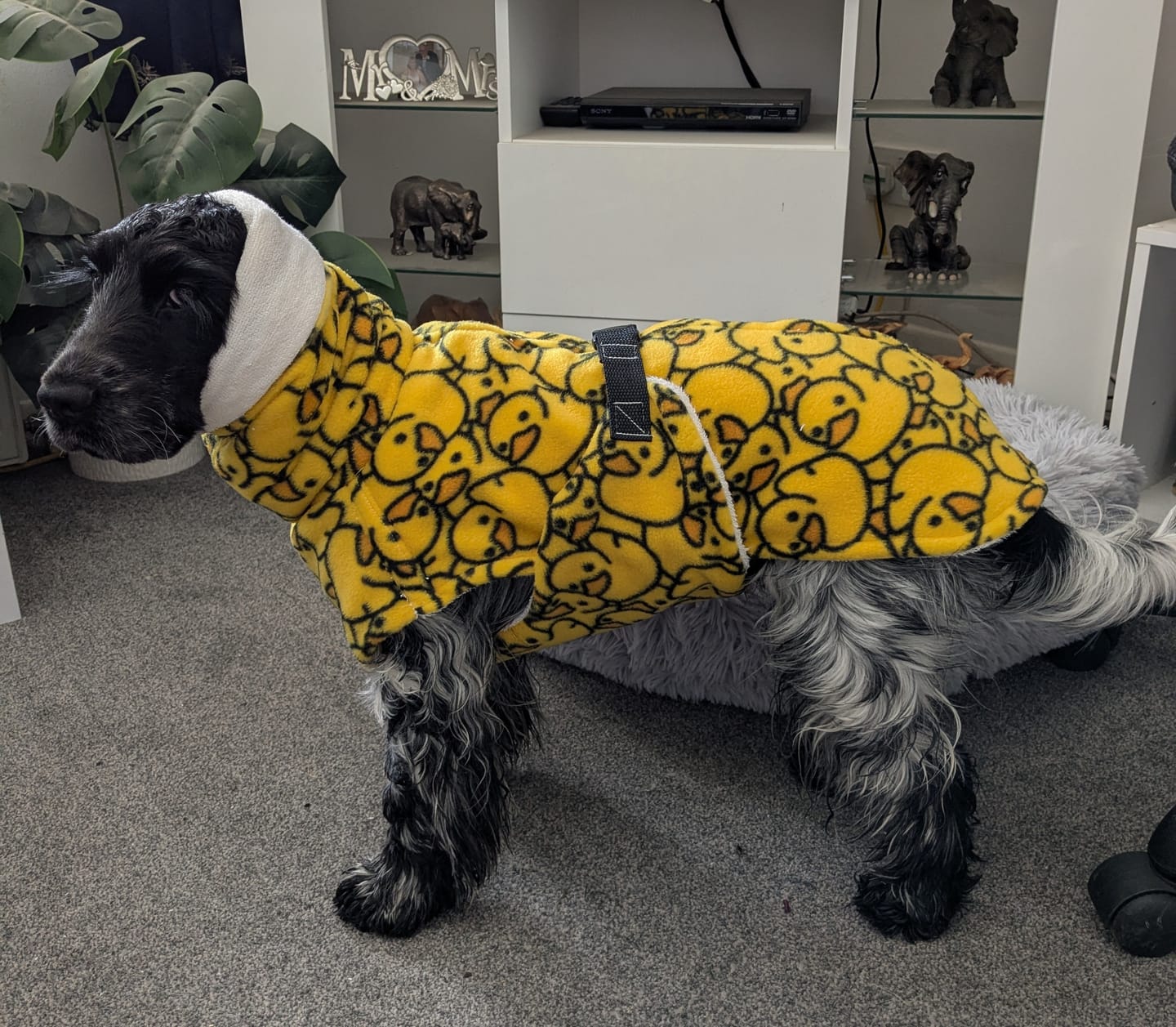 Customer photo review of Yellow Ducks Anti Pill Polar Fleece Fabric