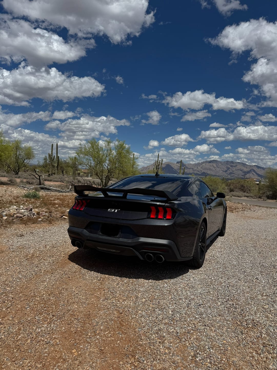 Customer photo review of 2024-Up Mustang Dark Horse Package Rear Spoiler