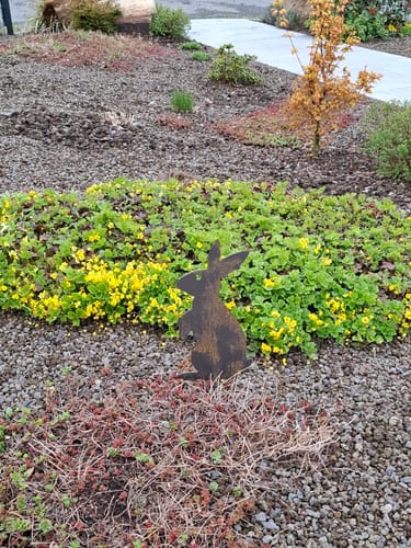 Customer photo review of Gartenstecker Osterhase stehend