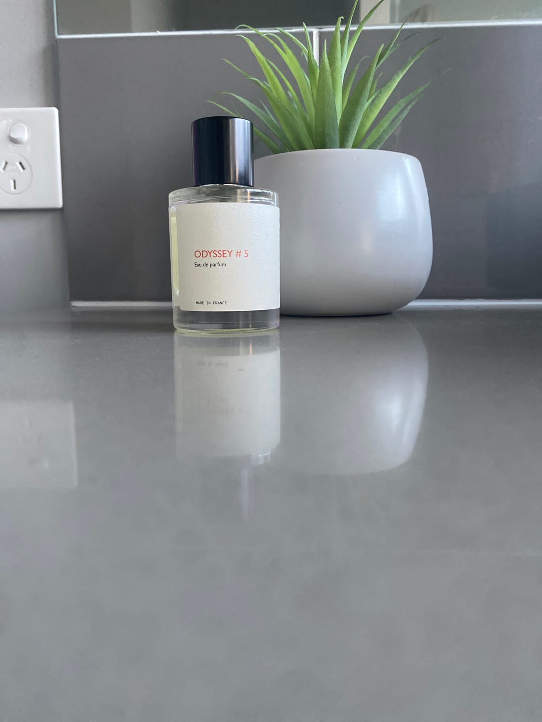 Customer photo review of Odyssey #5