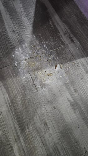 Customer photo review of Paquete Peludos - Membresía  - 2 Piezas de 850 grs + Envío GRATIS