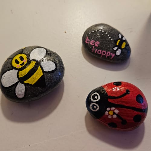 Customer photo review of Starterspakket Happy Stones + App om ze te volgen | Alles-in-1 | Stenen schilderen
