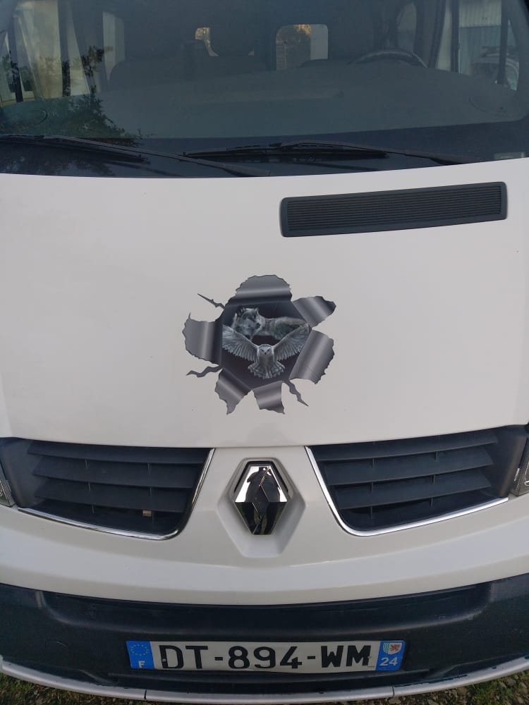 Customer photo review of Photo animal curieux - Autocollant pour voiture personnalisé
