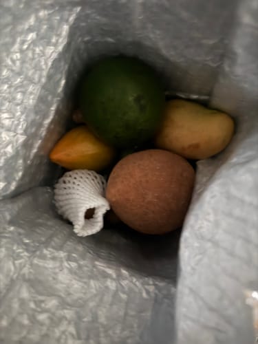 Customer photo review of Tropical Variety Box