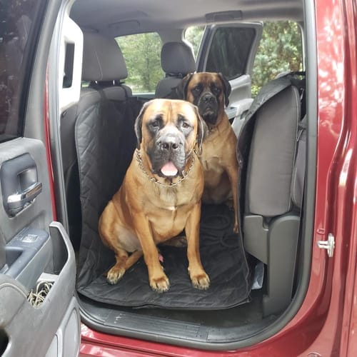 Customer photo review of Floor Hammock for Crew Cab Trucks - Passenger Side