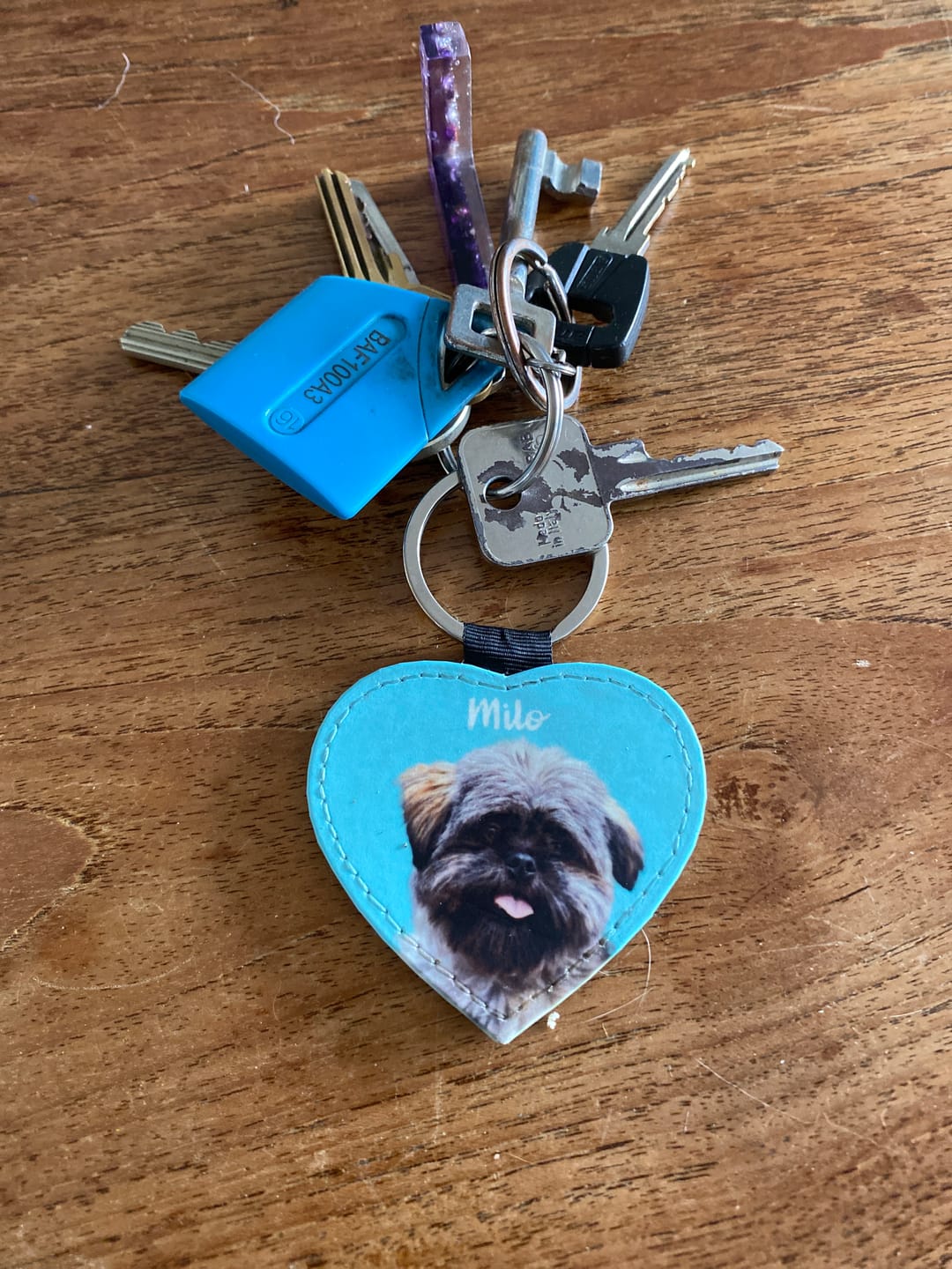 Customer photo review of Huisdier portret - Gepersonalliseerde sleutelhanger