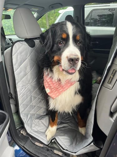 Customer photo review of Floor Hammock for Crew Cab Trucks - Driver Side