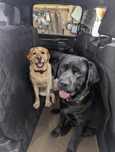 Customer photo review of Floor Hammock for Crew Cab Trucks - Driver Side