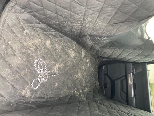 Customer photo review of Floor Hammock for Crew Cab Trucks - Driver Side