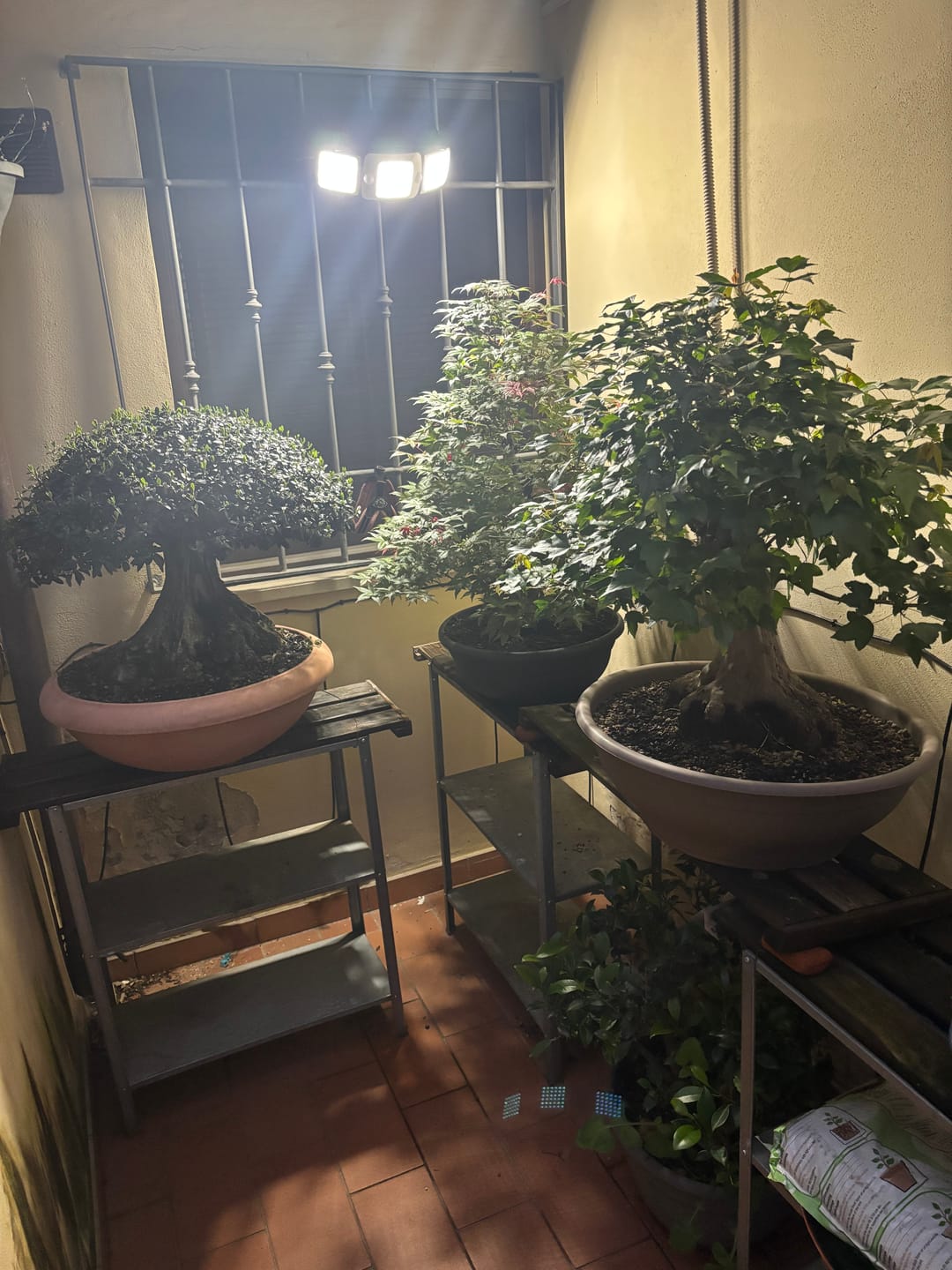Customer photo review of BIO DOPED X2 PACK