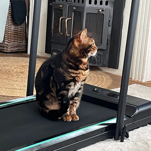 Customer photo review of Dreaver - Smeerolie Voor Loopband - 100% pure silicone olie - 120ml