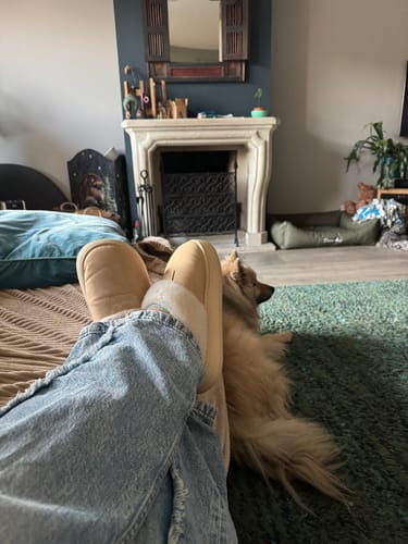 Customer photo review of HappyComfy