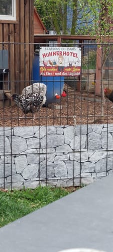 Customer photo review of Personalisiertes Gartenschild mit Hühner Motiv