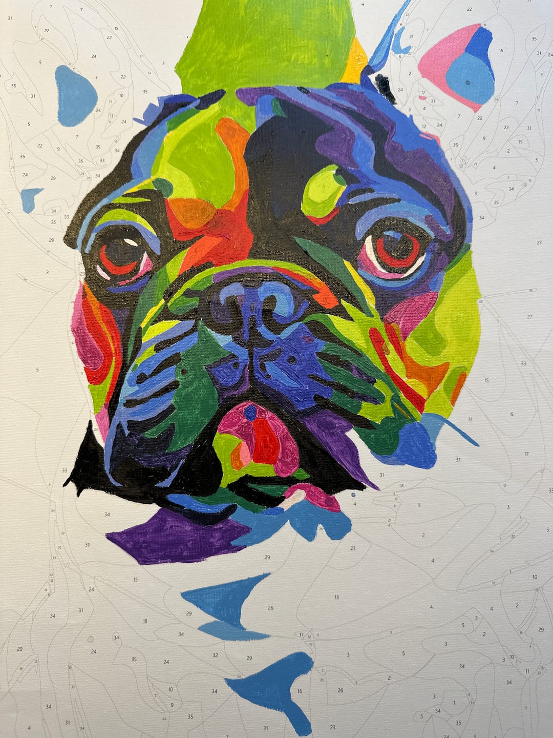 Customer photo review of Malen nach Zahlen - Bulldog Portrait - Premium Painting