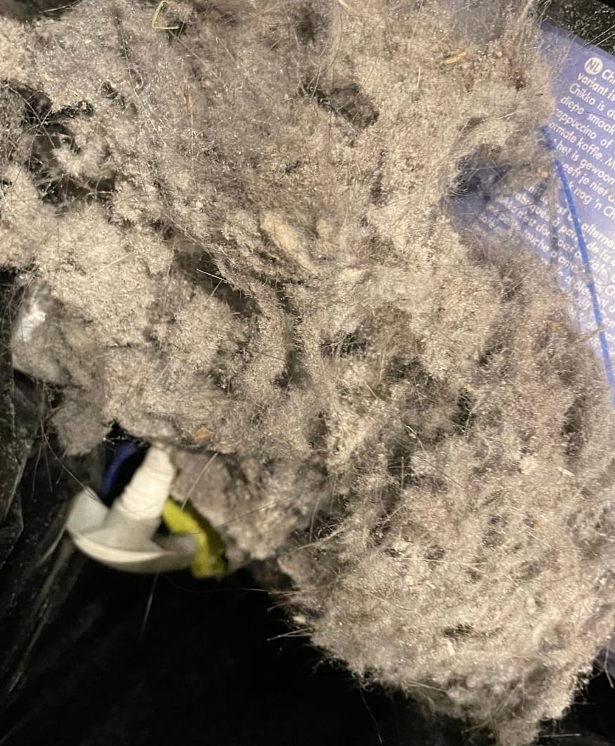 Customer photo review of BX7 Pro Bed Vacuum Cleaner