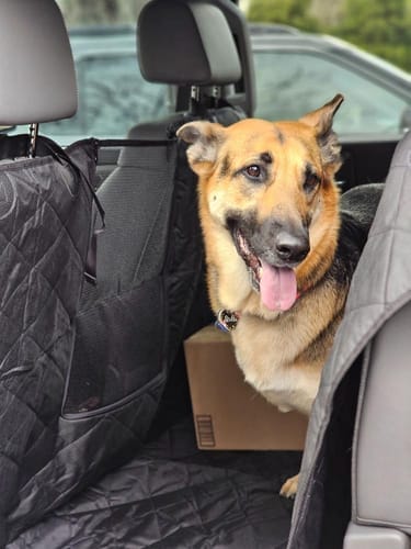 Customer photo review of Floor Hammock for Crew Cab Trucks - Passenger Side