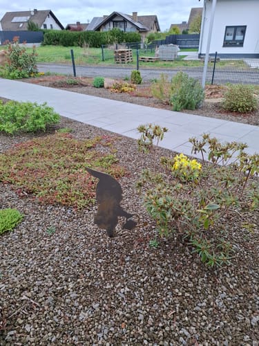 Customer photo review of Gartenstecker Gartenzwerg mit Gießkanne