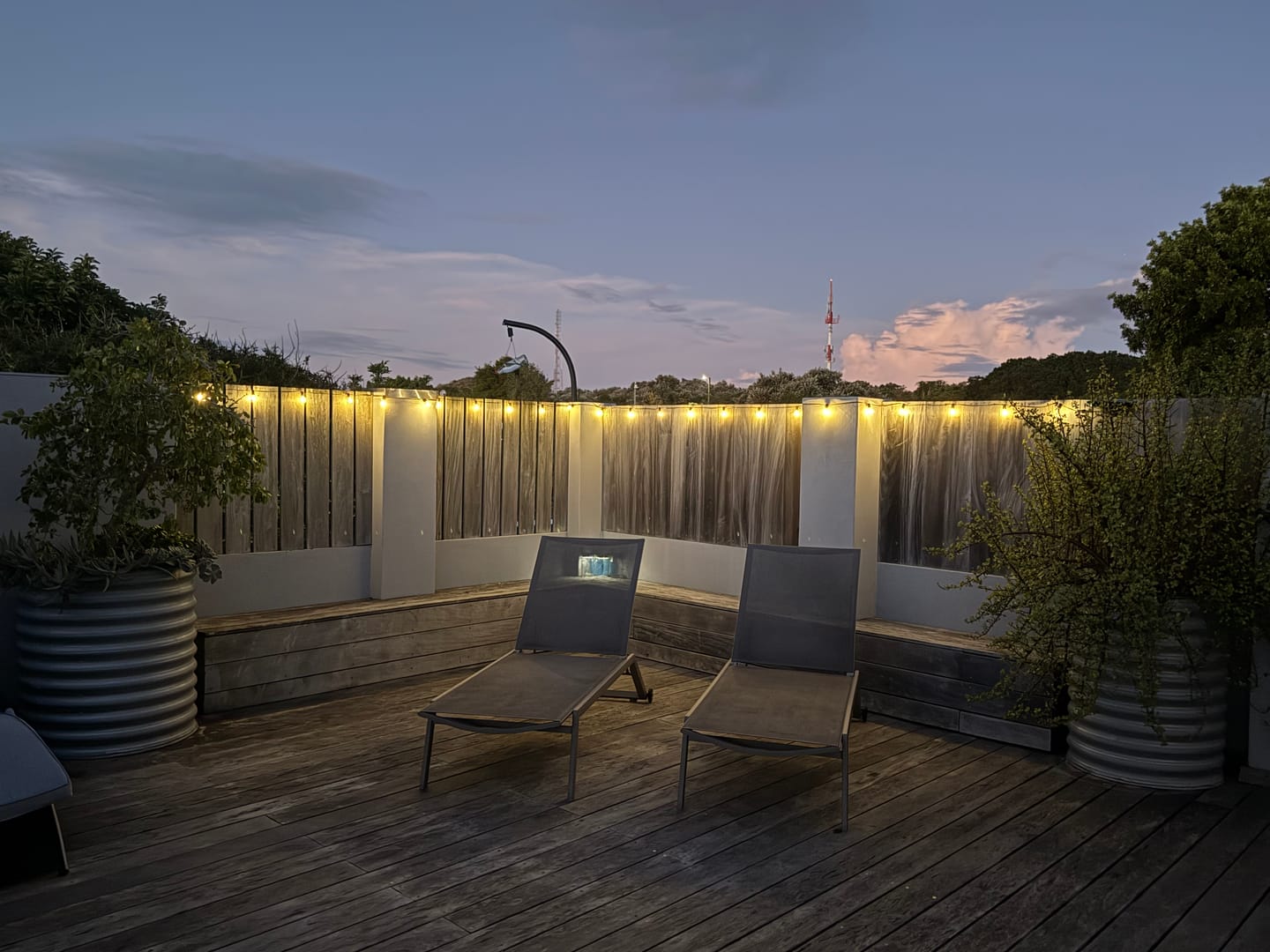 Customer photo review of Solar Mini Bulb String Lights - Black