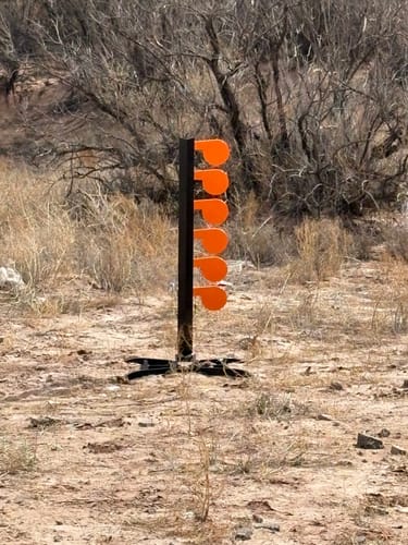 Customer photo review of 6" x 3/8" AR500 Steel Target Dueling Tree Stand