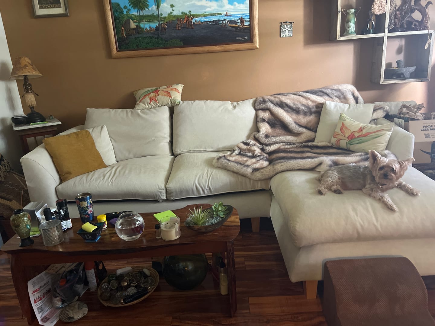 Customer photo review of Feathers Sectional