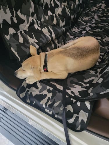 Customer photo review of Floor Hammock for Crew Cab Trucks - Passenger Side
