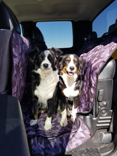 Customer photo review of Floor Hammock for Crew Cab Trucks - Driver Side