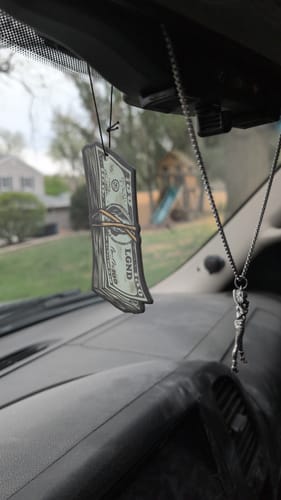 Customer photo review of Air Fresheners - 5 Pack