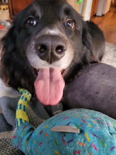 Customer photo review of Organic Coconut CBD Oil : 4 oz - 1,400mg : Anxiety & Calming Relief Blend