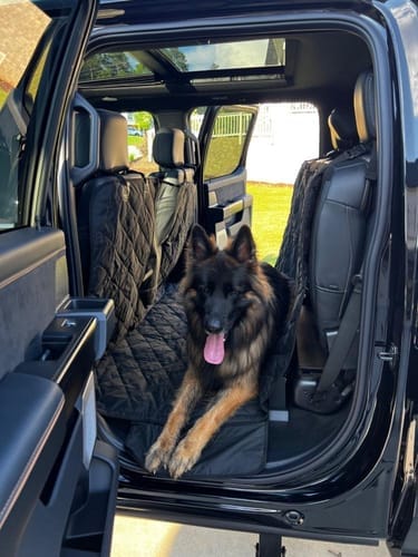 Customer photo review of Floor Hammock for Crew Cab Trucks - Passenger Side