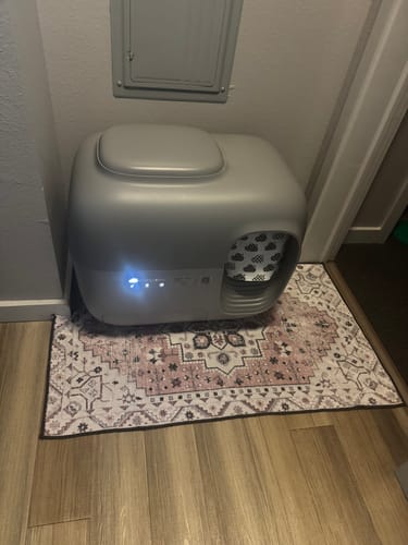 Customer photo review of Self-Cleaning Litter Box