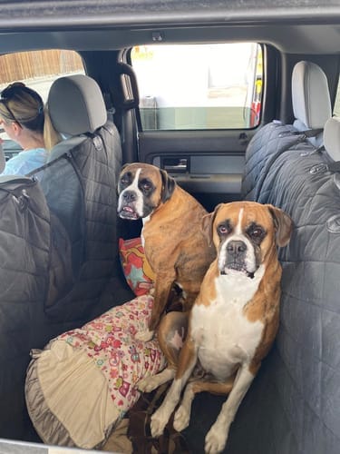 Customer photo review of Floor Hammock for Crew Cab Trucks - Driver Side