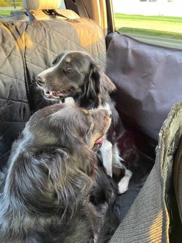Customer photo review of Floor Hammock for Crew Cab Trucks - Driver Side