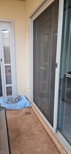 Customer photo review of Folding Patio Pet Door Insert [Colour: Cream] [Size: Small]