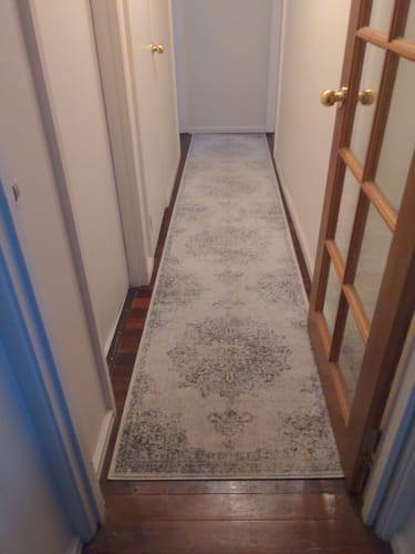 Customer photo review of Sivas Ivory & Blue Distressed Transitional Rug