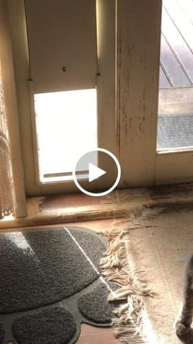 Customer video review of Replacement flap V1.9 (No Mohair) [Size: Small] [Colour: Silver Grey]