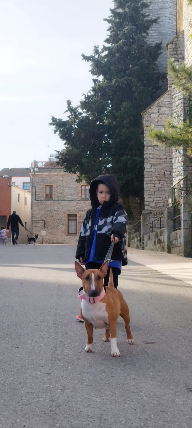 Customer photo review of 4cm Combat® Collar | Handle & Rated Clip - Pink