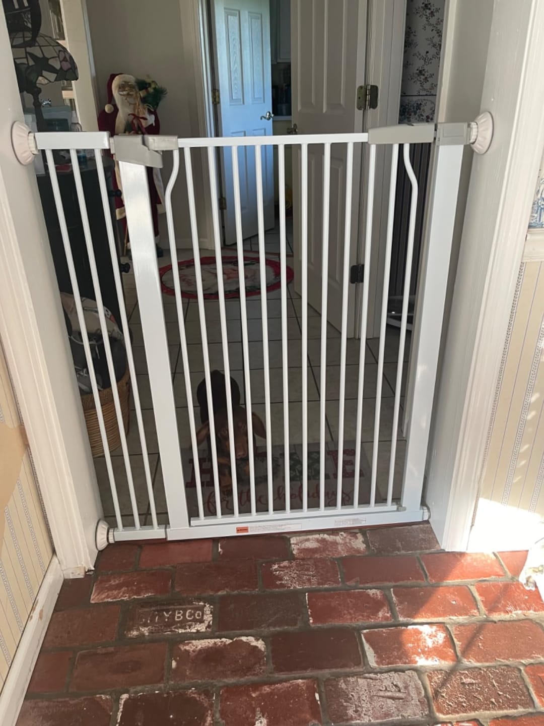 Customer photo review of FairyBaby 40.55" Extra Tall Heavy Duty Safety Gate For Front Door
