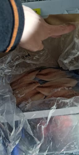 Customer photo review of 5KG Snapper Fillets (Skinned and Boned) Frozen